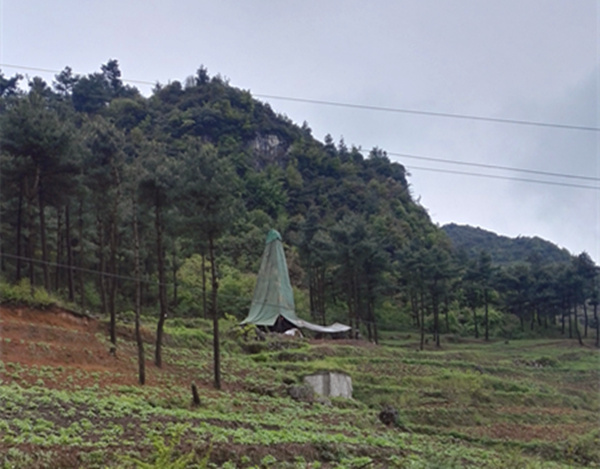 把脈“黔”鋅地，問診開良方