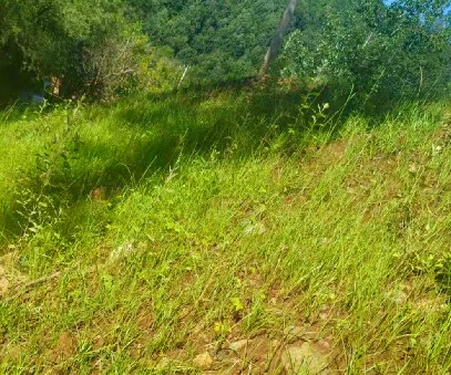 柳關欒盧鉛鋅礦|治理排土“瘡疤”，繪就綠色畫卷